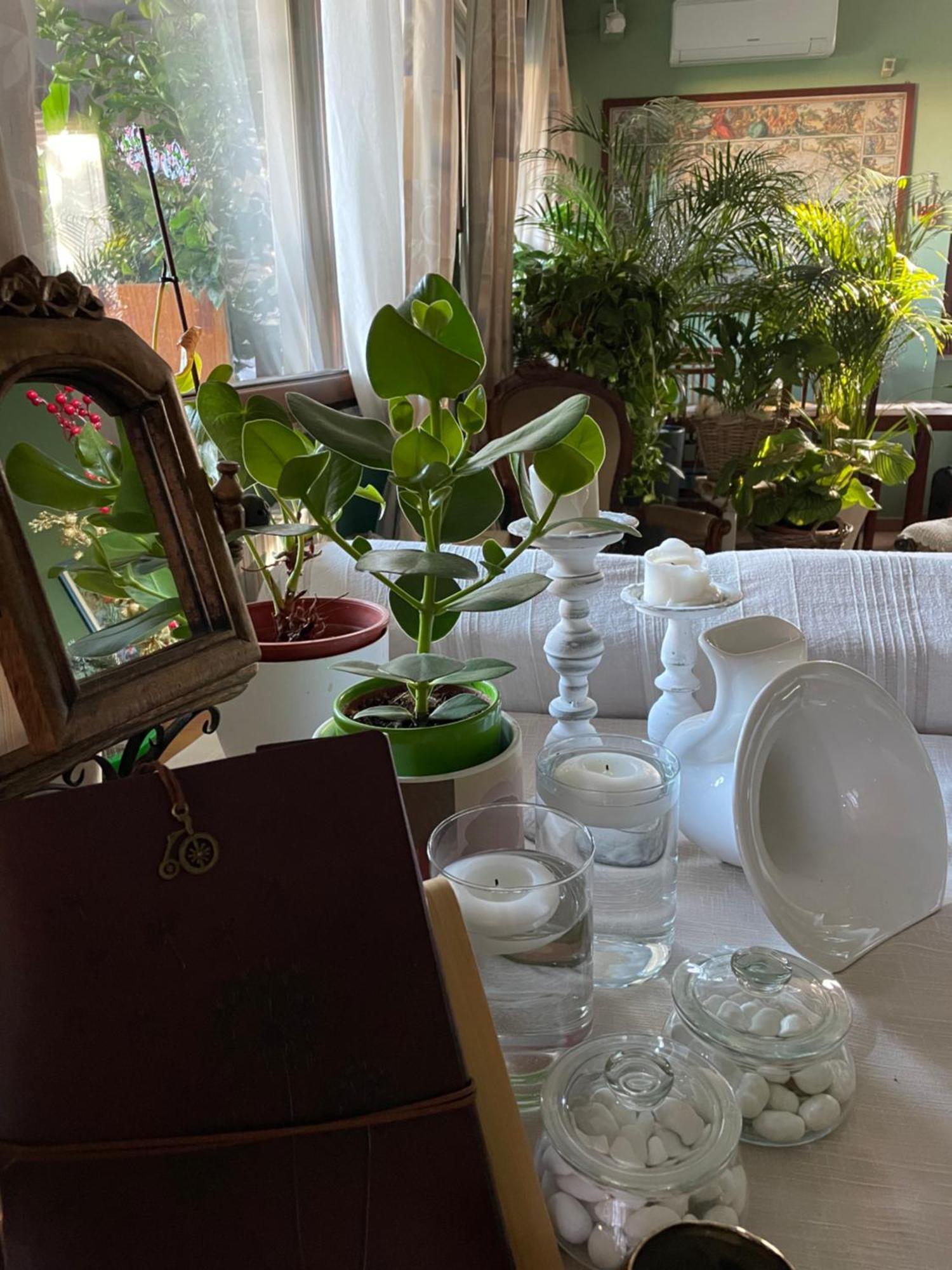Il Giardino Di Emilia - Intero Appartamento In Villa Con Giardino Privato E Piscina Estiva Pontirolo Nuovo المظهر الخارجي الصورة